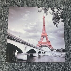 grey scale pink eiffel tower poster
